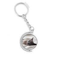 Diythinker Erkek Hayvan Sevimli Gri Kedi Fotoğraf Çekimi Döndürülebilir Çok Renkli 3x9 cm Anahtarlık