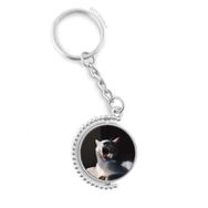 Diythinker Erkek Hayvan Yawn Kedi Fotoğraf Çekimi Döndürülebilir Çok Renkli 3x9 cm Anahtarlık