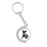 Diythinker Erkek Köpek Evcil Hayvan Fotoğraf Resimleri Döndürülebilir Çok Renkli 3x9 cm Anahtarlık
