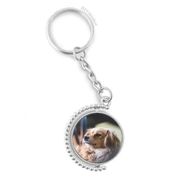 Diythinker Erkek Köpek Küçük Hayvan Yalnız Fotoğraf Döndürülebilir Çok Renkli 3x9 cm Anahtarlık
