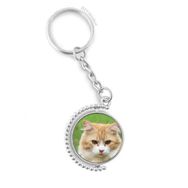 Diythinker Erkek Sarı Çizgili Kedi Stare Evcil Hayvan Döndürülebilir Çok Renkli 3x9 cm Anahtarlık