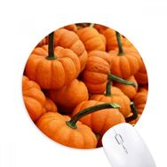 Dıythinker Fotoğraf Taze Balkabağı Resim Doğa Baskılı Yuvarlak Kaymaz Kauçuk Mouse Pad