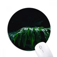 Dıythinker Fotoğrafçılık Yaprakları Bitki Resmi Doğa Baskılı Yuvarlak Kaymaz Kauçuk Mouse Pad