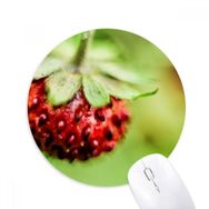 Dıythinker Fresh Berry Resim Doğa Fotoğraf Baskılı Yuvarlak Kaymaz Kauçuk Mouse Pad