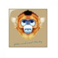 Dıythinker Golden Snub Burunlu Maymun Hayvan 10x10 cm Seramik Karo
