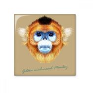 Dıythinker Golden Snub Burunlu Maymun Hayvan Seramik Biske Fayans 20x20 cm Seramik Karo