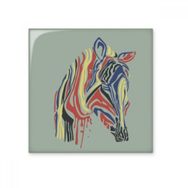 Dıythinker Grafiti Tek Basit Renkli Zebra Hayvan Seramik 10x10 cm Seramik Karo