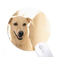 Dıythinker Gülümseme Beyaz Köpek Evcil Hayvan Resmi Baskılı Yuvarlak Kaymaz Kauçuk Mouse Pad