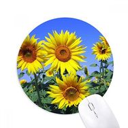 Dıythinker Güneş Işığı Çiçekler Ayçiçeği Mavi Gökyüzü Baskılı Yuvarlak Kaymaz Kauçuk Mouse Pad