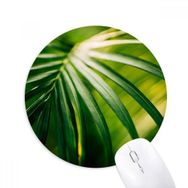 Dıythinker Güneş Işığı Yaprağı Bitki Doğa Fotoğrafçılığı Baskılı Yuvarlak Kaymaz Kauçuk Mouse Pad
