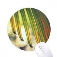 Dıythinker Güneş Yaprağı Bitki Resmi Doğa Baskılı Yuvarlak Kaymaz Kauçuk Mouse Pad