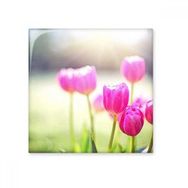 Dıythinker Güzel Güneş Işığı Çiçekler Kırmızı Yeşil 15x15 cm Seramik Karo