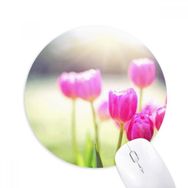 Dıythinker Güzel Güneş Işığı Çiçekler Kırmızı Yeşil Baskılı Yuvarlak Kaymaz Kauçuk Mouse Pad