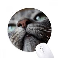 Dıythinker Hayvan Görünümlü Kedi Fotoğrafı Baskılı Yuvarlak Kaymaz Kauçuk Mouse Pad