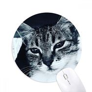 Dıythinker Hayvan Havalı Gri Kedi Fotoğrafı Baskılı Yuvarlak Kaymaz Kauçuk Mouse Pad