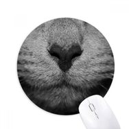 Dıythinker Hayvan Kedi Fotoğraf Çekimi Resim Baskılı Yuvarlak Kaymaz Kauçuk Mouse Pad