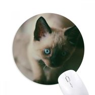 Dıythinker Hayvan Mavi Gözlü Kedi Grisi Fotoğraf Baskılı Yuvarlak Kaymaz Kauçuk Mouse Pad