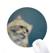 Dıythinker Hayvan Mavi Kedi Fotoğraf Çekimi Baskılı Yuvarlak Kaymaz Kauçuk Mouse Pad
