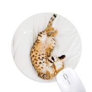 Dıythinker Hayvan Ocelot Kedi Fotoğraf Çekimi Baskılı Yuvarlak Kaymaz Kauçuk Mouse Pad