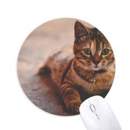 Dıythinker Hayvan Sessiz Kedi Fotoğrafı Baskılı Yuvarlak Kaymaz Kauçuk Mouse Pad