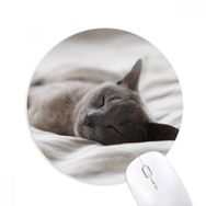 Dıythinker Hayvan Sevimli Gri Kedi Fotoğraf Çekimi Baskılı Yuvarlak Kaymaz Kauçuk Mouse Pad