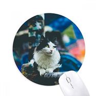 Dıythinker Hayvan Tembel Kedi Fotoğraf Çekimi Baskılı Yuvarlak Kaymaz Kauçuk Mouse Pad