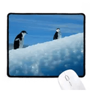 Dıythinker İki Antarktik Penguenler Bilim Doğa Resmi Kaymaz Mouse Pad