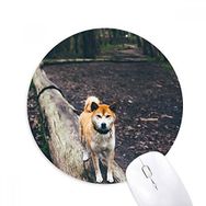 Dıythinker Japon Köpek Evcil Hayvan Resmi Baskılı Yuvarlak Kaymaz Kauçuk Mouse Pad