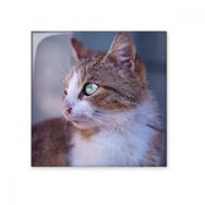 Dıythinker Kahverengi Kedi Hayvan Profil Vahşi Bakış Seramik 10x10 cm Seramik Karo