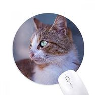 Dıythinker Kahverengi Kedi Hayvan Profil Vahşi Görünüş Baskılı Yuvarlak Kaymaz Kauçuk Mouse Pad