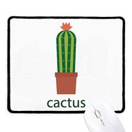 Dıythinker Kaktüs Saksı Bitki Yeşil Succulents Kaymaz Siyah Başlıklı Kenarlar