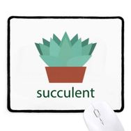 Dıythinker Kaktüs Saksısı Yeşil Bitki Succulents Kaymaz Siyah Başlıklı Kenarlar