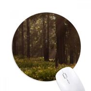 Dıythinker Kara Orman Bilim Doğa Manzarası Baskılı Yuvarlak Kaymaz Kauçuk Mouse Pad