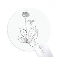 Dıythinker Karahindiba Çiçek Bitki Yaprakları Baskılı Yuvarlak Kaymaz Kauçuk Mouse Pad
