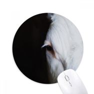 Dıythinker Karasal Organizma Hayvan Fotoğrafçılığı Baskılı Yuvarlak Kaymaz Kauçuk Mouse Pad
