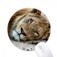 Dıythinker Karasal Organizma Vahşi Hayvan Aslan Baskılı Yuvarlak Kaymaz Kauçuk Mouse Pad