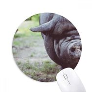 Dıythinker Karasal Organizma Vahşi Hayvan Fotoğrafçılığı Baskılı Yuvarlak Kaymaz Kauçuk Mouse Pad