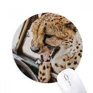 Dıythinker Karasal Organizma Vahşi Hayvan Leopar Baskılı Yuvarlak Kaymaz Kauçuk Mouse Pad