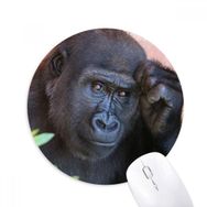 Dıythinker Karasal Organizma Vahşi Hayvan Şempanze Baskılı Yuvarlak Kaymaz Kauçuk Mouse Pad
