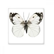 Dıythinker Kelebek Beyaz Koyu Kanatlı Seramik 10x10 cm Seramik Karo
