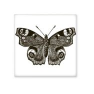 Dıythinker Kelebek Koyu Kanatlı Koyu Renkli 10x10 cm Seramik Karo