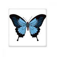 Dıythinker Kelebek Numunesi Koyu Mavi Seramik 10x10 cm Seramik Karo