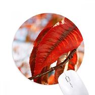 Dıythinker Kırmızı Akçaağaç Yaprağı Bitki Doğa Resmi Baskılı Yuvarlak Kaymaz Kauçuk Mouse Pad