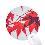 Dıythinker Kırmızı Akçaağaç Yaprakları Bitki Doğa Resmi Baskılı Yuvarlak Kaymaz Kauçuk Mouse Pad