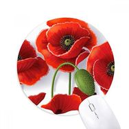 Dıythinker Kırmızı Çiçekler Boyama Mısır Gelincik Yaprakları Meyve Baskılı Yuvarlak Kaymaz Kauçuk Mouse Pad
