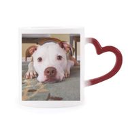 Dıythinker Kırmızı Çok Renkli Beyaz Bulldog Evcil Hayvan Resim Şekil Isıya Duyarlı Kalp Kupası