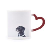 Dıythinker Kırmızı Çok Renkli Beyaz Köpek Evcil Hayvan Fotoğraf Isıya Duyarlı Kalp Kupası