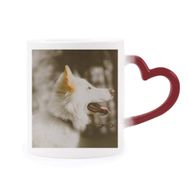 Dıythinker Kırmızı Çok Renkli Beyaz Köpek Evcil Hayvan Fotoğraf Şekil Isıya Duyarlı Kalp Kupa