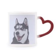 Dıythinker Kırmızı Çok Renkli Big Dog Snow Husky Resim Şekil Isıya Duyarlı Kalp Kupa