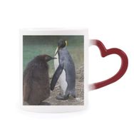 Dıythinker Kırmızı Çok Renkli Deniz Soğuk Antarktik Penguen Bilim Doğa Resim Şekil Isıya Duyarlı Kalp Kupa